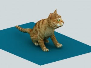 cat animated rigged 3D Model