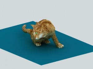 cat animated rigged Model 3D