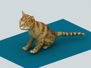 cat animated rigged Model 3D