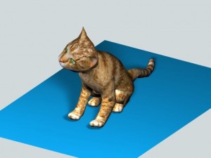 cat animated rigged Model 3D