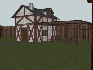 village celts 3D Model