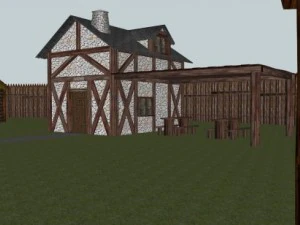 village celts 3D Model