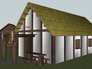 village celts 3D Model
