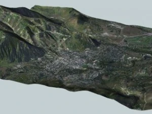 &aacute;lamo tremedor colorado Modelo 3D