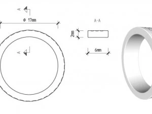 ring 5 3D Model