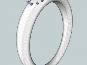 ring 7 3D Model