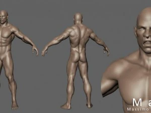 creatura orca Modello 3D