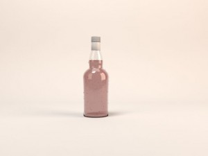 bottle 3D-Modell