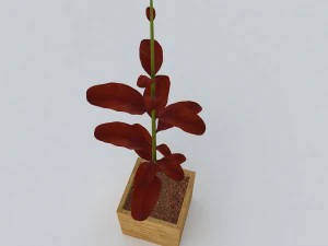 red plant 3D Model