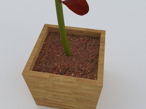 red plant 3Dモデル