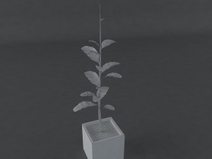 red plant 3Dモデル