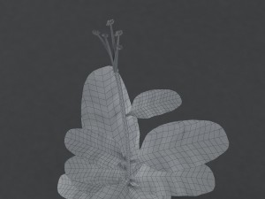 red plant 3Dモデル