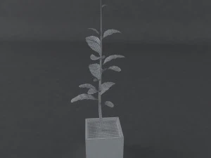 red plant 3D Model