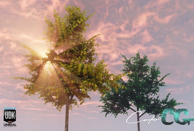 tree  summer and autumn 3D Model .c4d .max .obj .3ds .fbx .stl .blend 