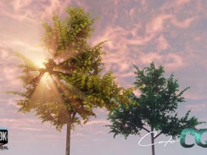 &aacute;rbol verano y oto&ntilde;o Modelo 3D