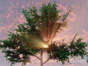 tree  summer and autumn 3D Model