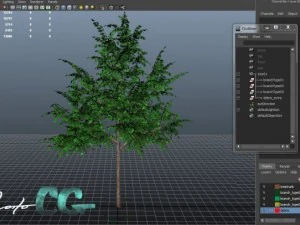 tree  summer and autumn 3D Model
