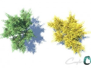 tree  summer and autumn 3D Model