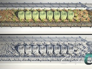 fenced planter bed 3Dモデル