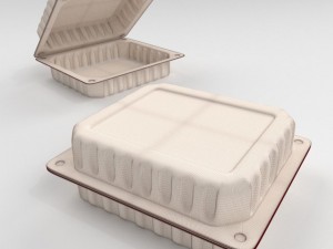 food container 3D Model