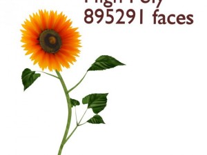sunflower Model 3D