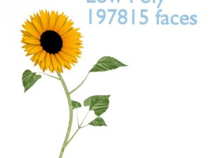 sunflower Model 3D