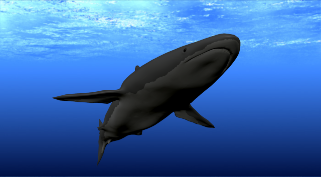 shark 3D Model .c4d .max .obj .3ds .fbx .stl .blend 