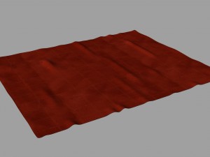 throw rug 3D 模型
