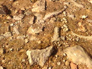 stonyground 3D Модель