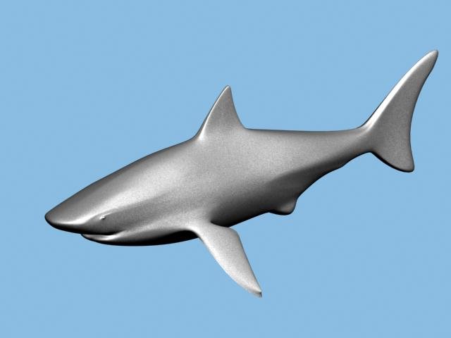shark 3D Model .c4d .max .obj .3ds .fbx .stl .blend 
