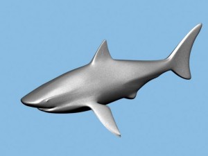shark Model 3D