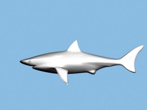 shark 3D Model