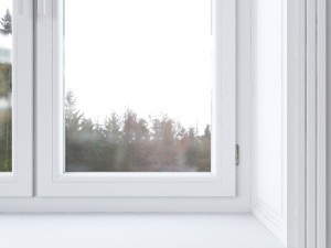 white window 3D Model