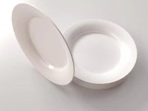 plate v1 3D Model