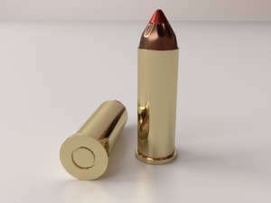 ammunition 44 magnum Modello 3D