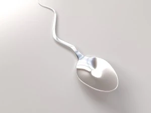 cucchiaio di serpente Modello 3D