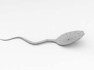 snake spoon 3D Модель