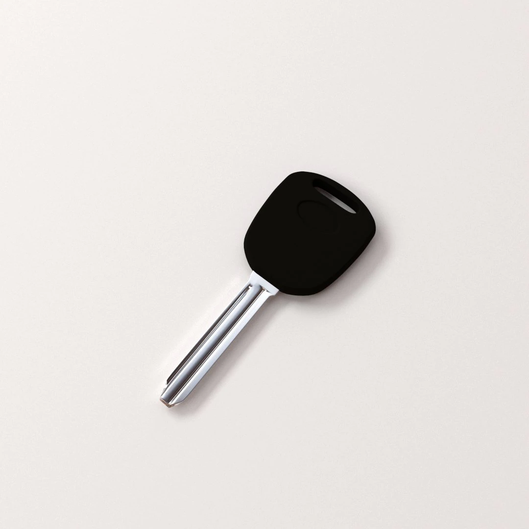 car key 3D Model .c4d .max .obj .3ds .fbx .stl .blend 