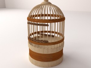 bird cage Modèle 3D