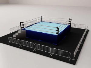 ring de lutte Modèle 3D