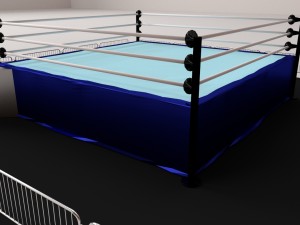 wrestling ring 3D 模型