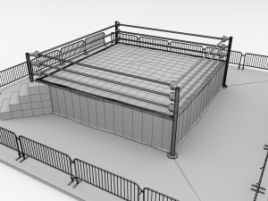 wrestling ring 3D 模型