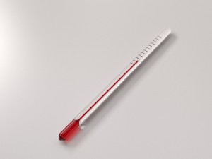 thermometer 3D Model