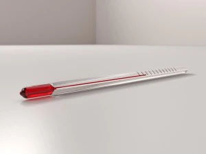 thermometer 3D Model