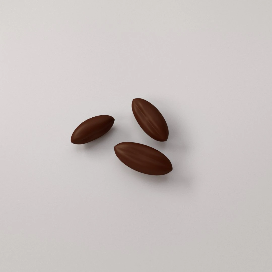 coffee bean 3D Model .c4d .max .obj .3ds .fbx .stl .blend 