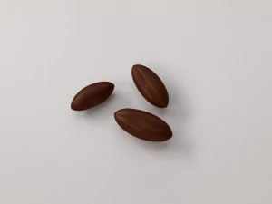 biji kopi Model 3D