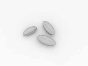coffee bean 3D Model