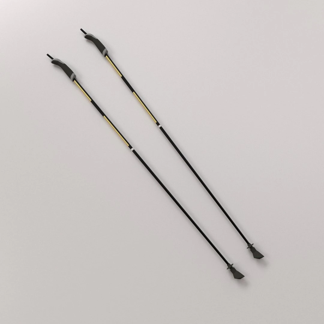 walking pole 3D Model .c4d .max .obj .3ds .fbx .stl .blend
