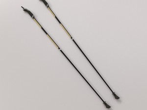 walking pole 3D Model