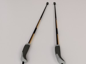 walking pole 3D Model